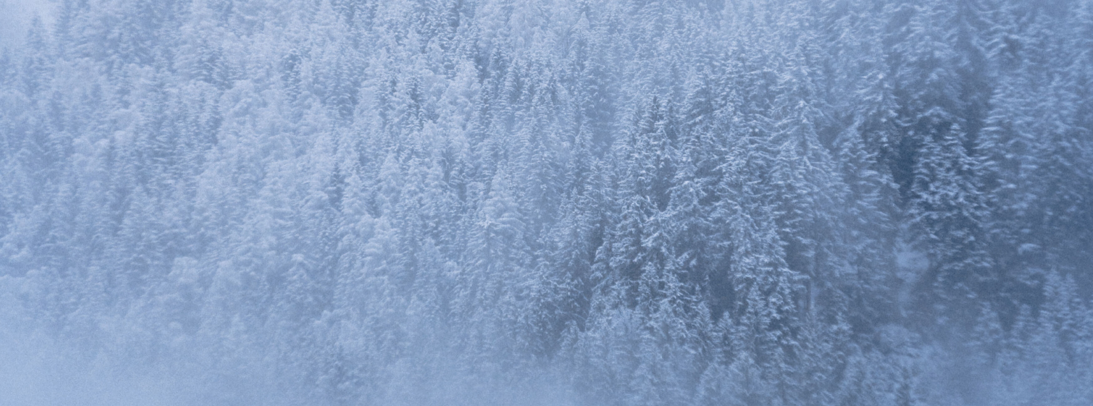 Natur, Draußen, Wetter, Eis, Textur