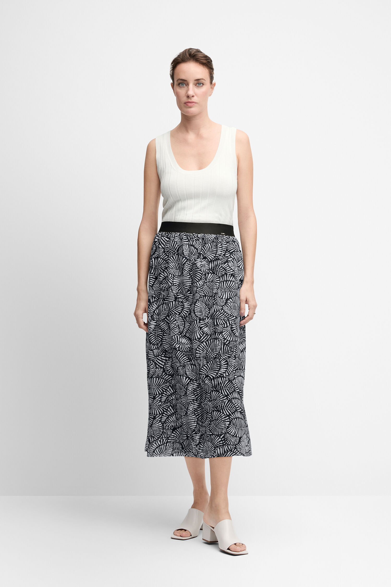 Rock CICARTO Rock CICARTO