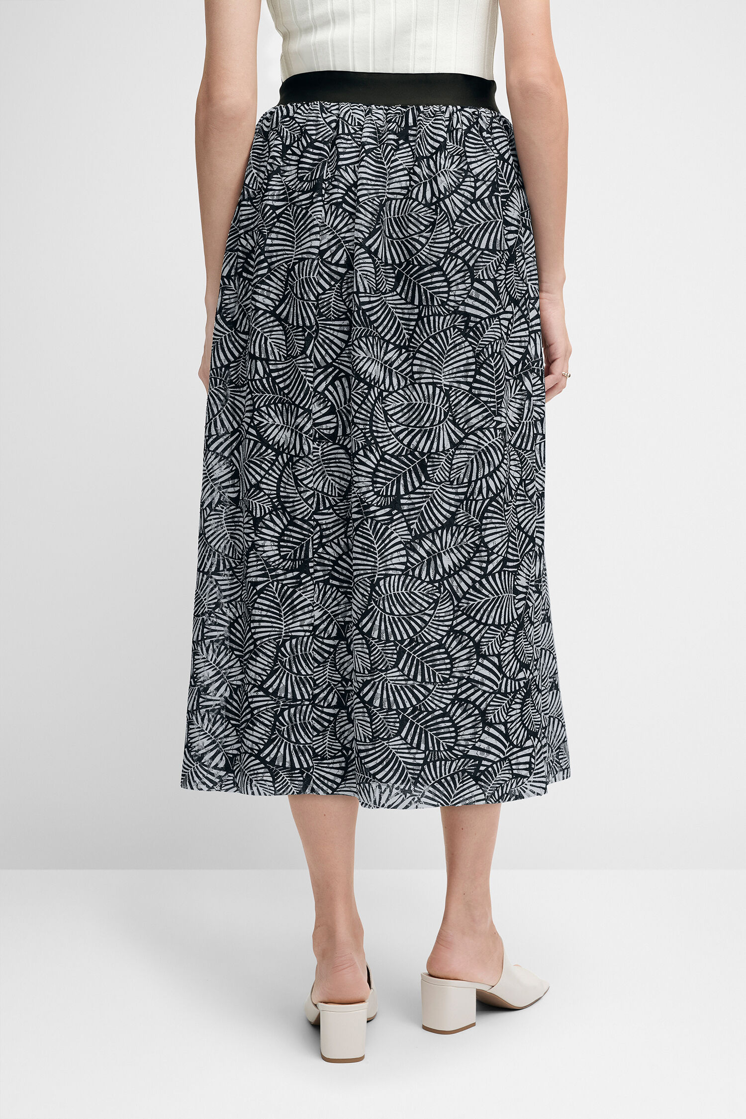 Rock CICARTO Rock CICARTO