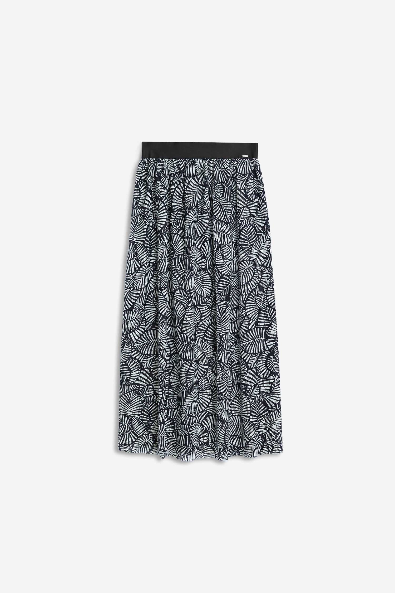 Rock CICARTO Rock CICARTO