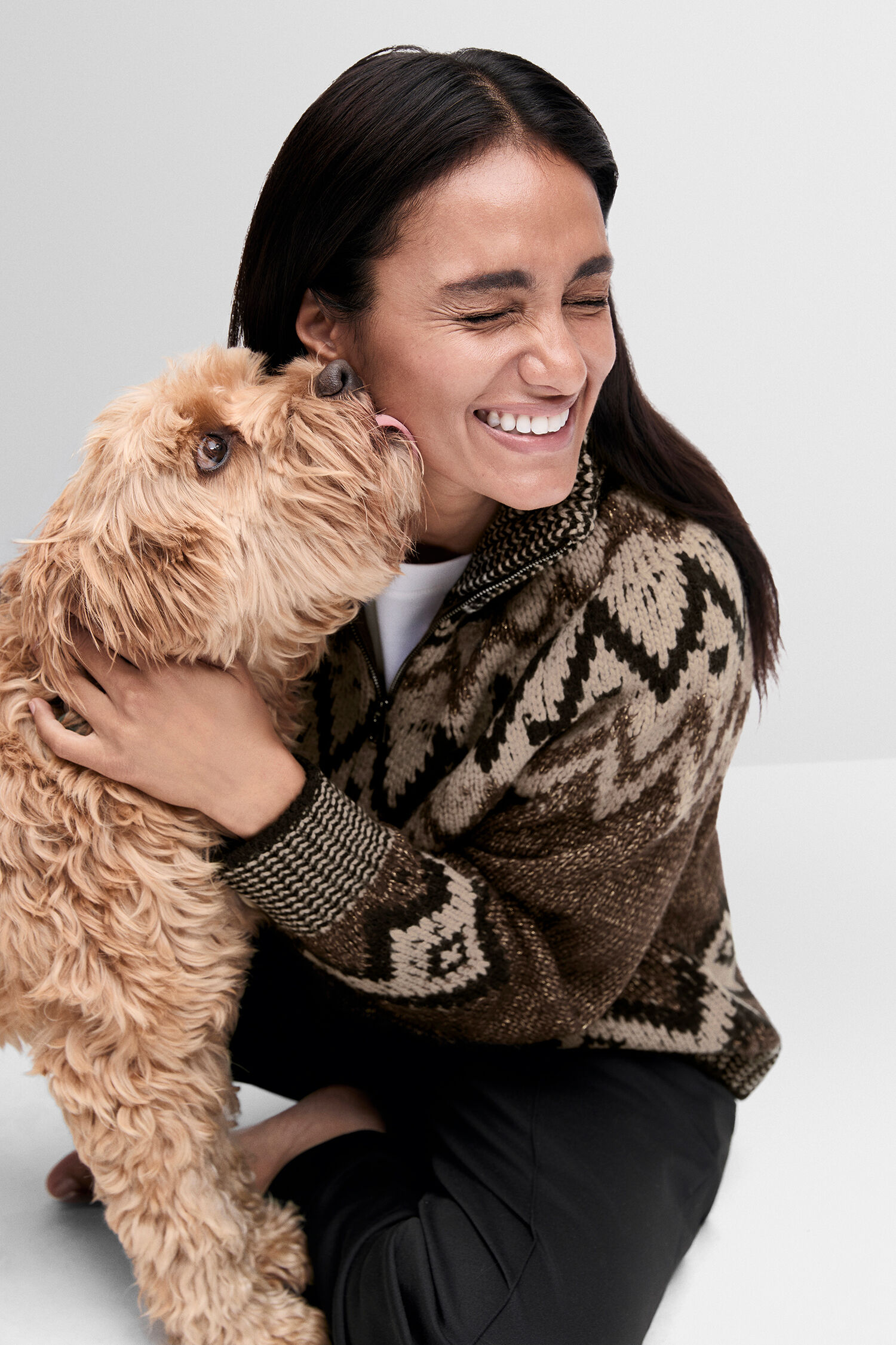 Hund, Tier,  Hundesweater, Strickpullover, braunes Muster